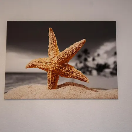 079 Seestern Apartment Wilhelmshaven