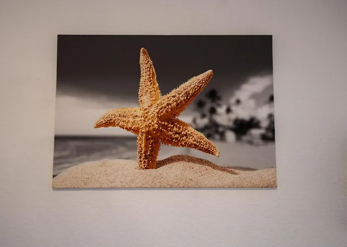 079 Seestern Appartamento Wilhelmshaven